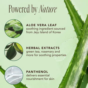 The Face Shop Jeju Aloe Fresh Soothing Foam Cleanser | Gel to Foam cleanser for Skin,Body and Face | Hydrating & cooling cleanser, 150ml